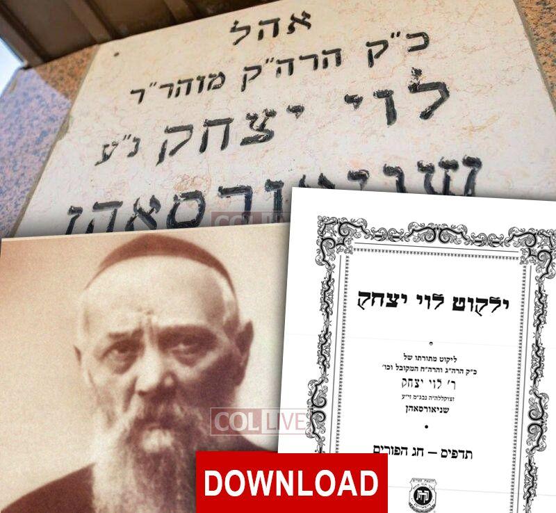 From Reb Levi Yitzchok Purim Insights