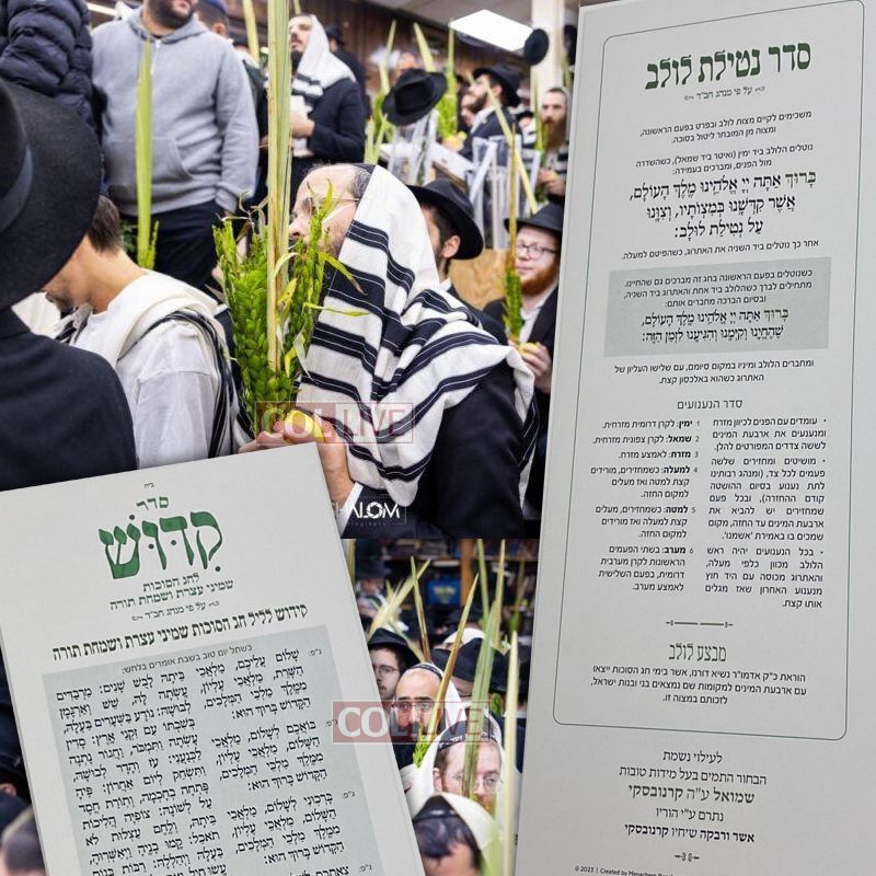 Sukkah Companion for Kiddush and Lulav