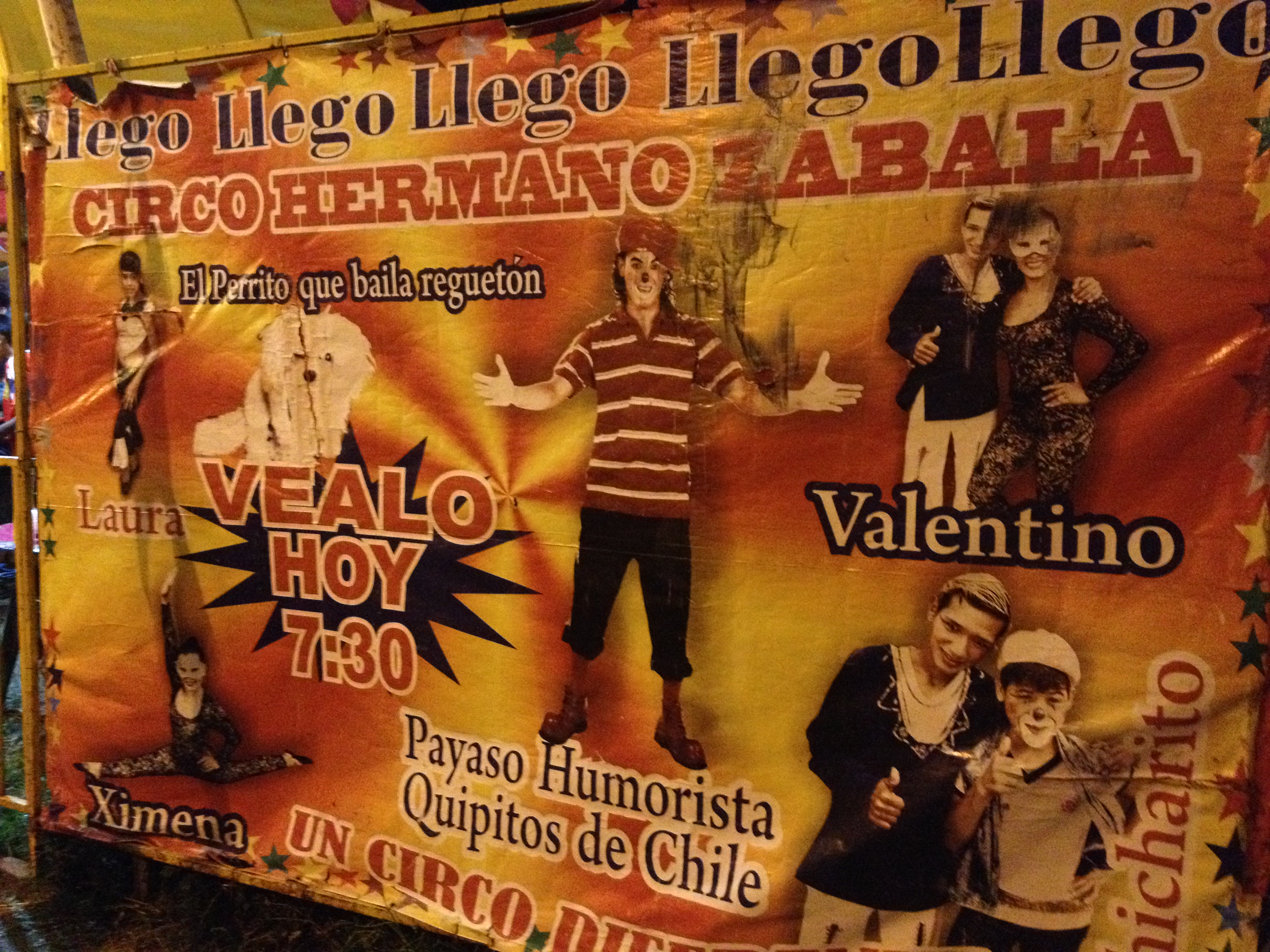 A Dog Dancing Reggaeton and Other Disapointments