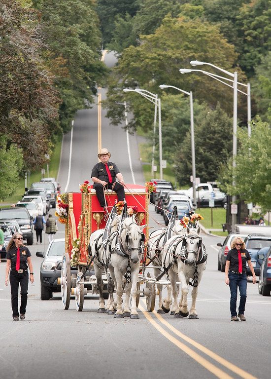 Colonial Carriage and Driving Society For Horse & Carriage Driving
