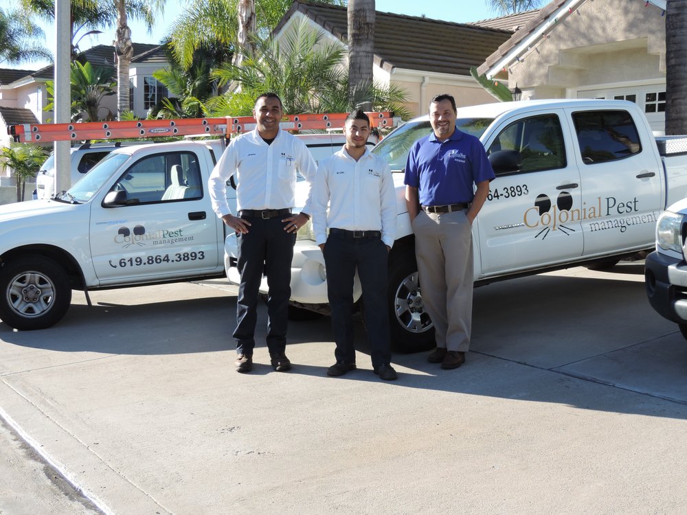 termitepestcontrolcanberra Colonial Pest Management