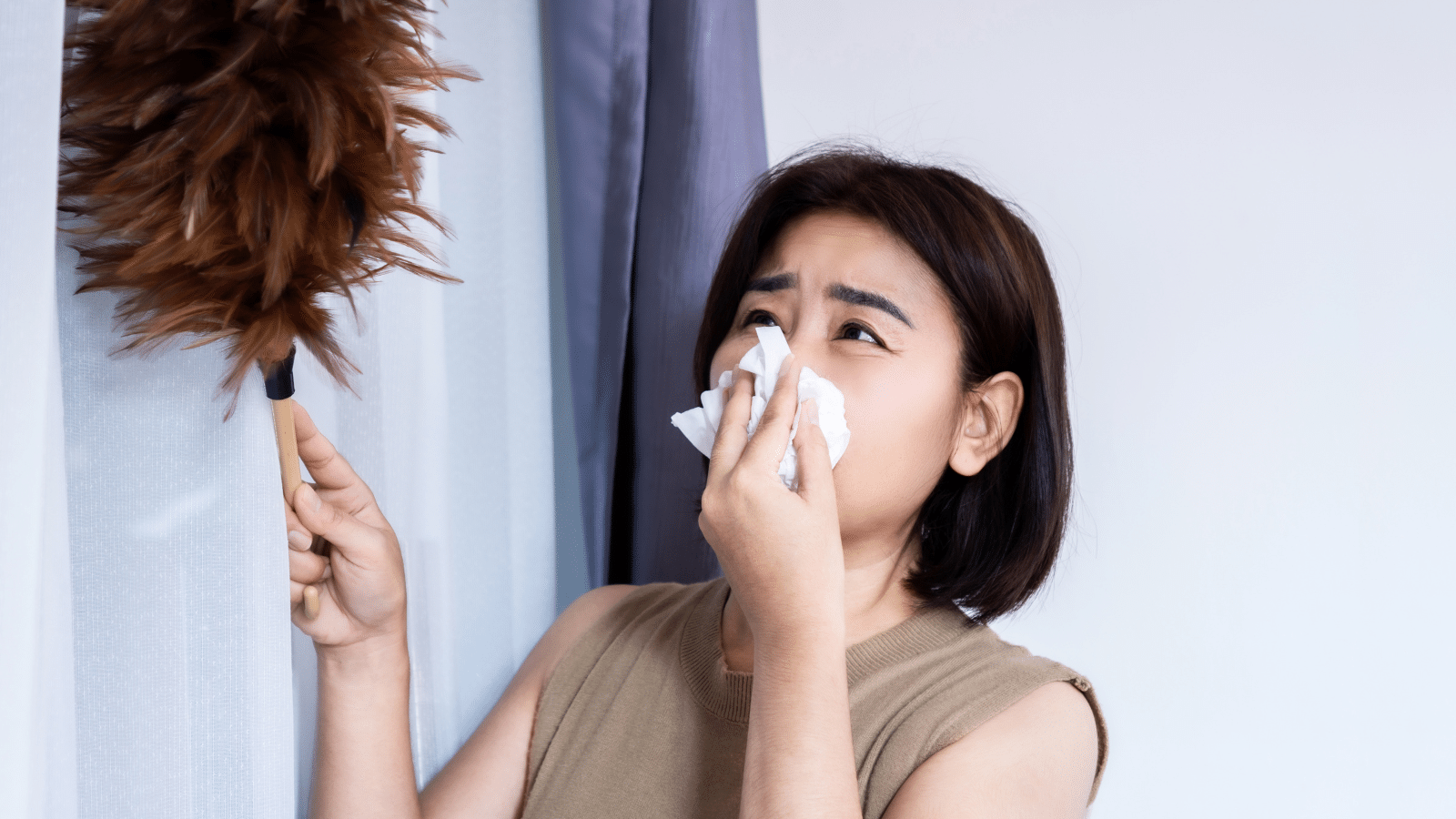 How to Create an AllergyFree Home in Colorado Springs