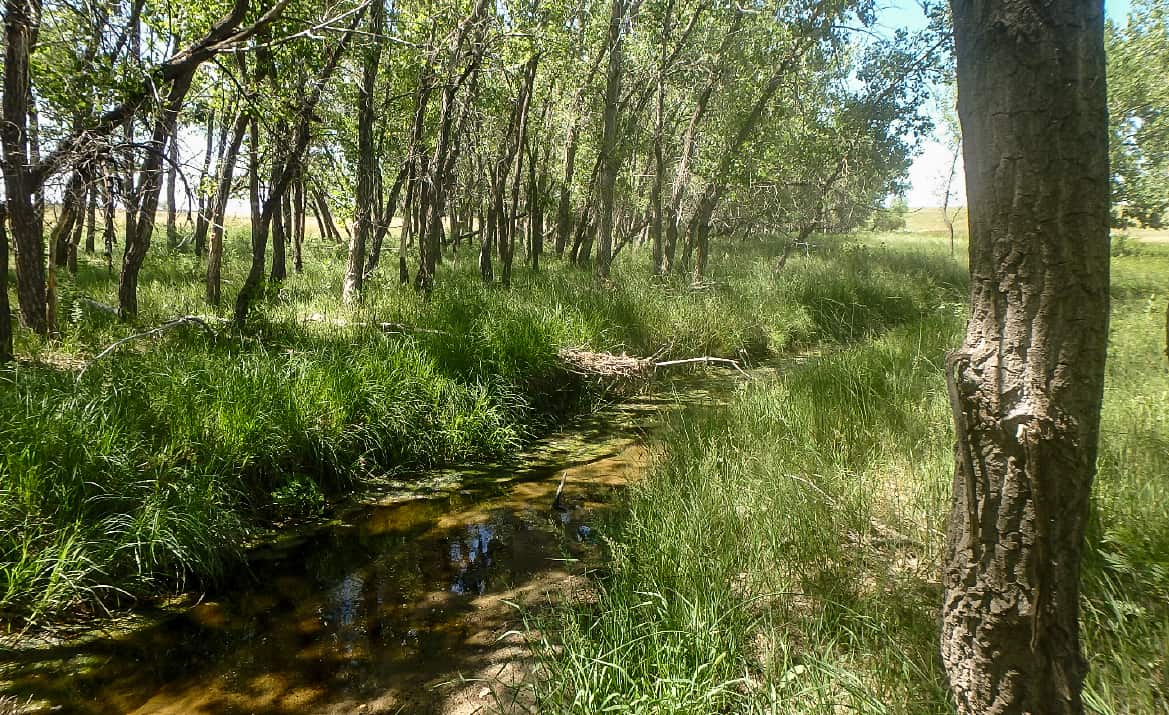 Box Elder Creek permanently protected! Colorado Open Lands