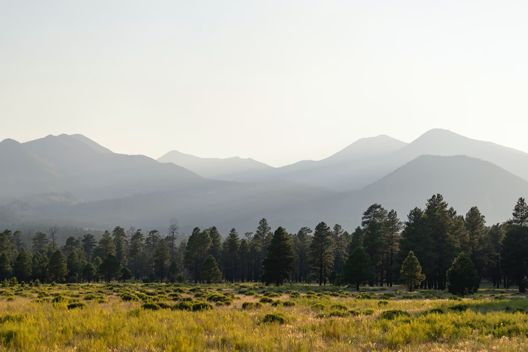 Living in Flagstaff & Northern Arizona Colorado Plateau Center for