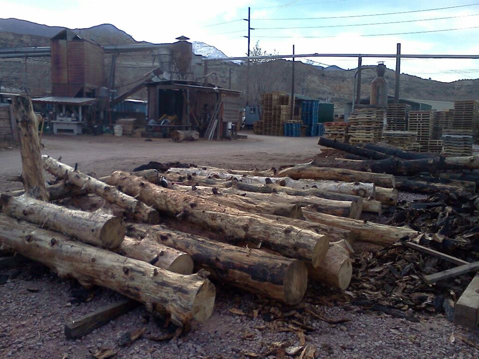 Colorado Springs Sawmill (Demo) Colorado Springs Sawmill
