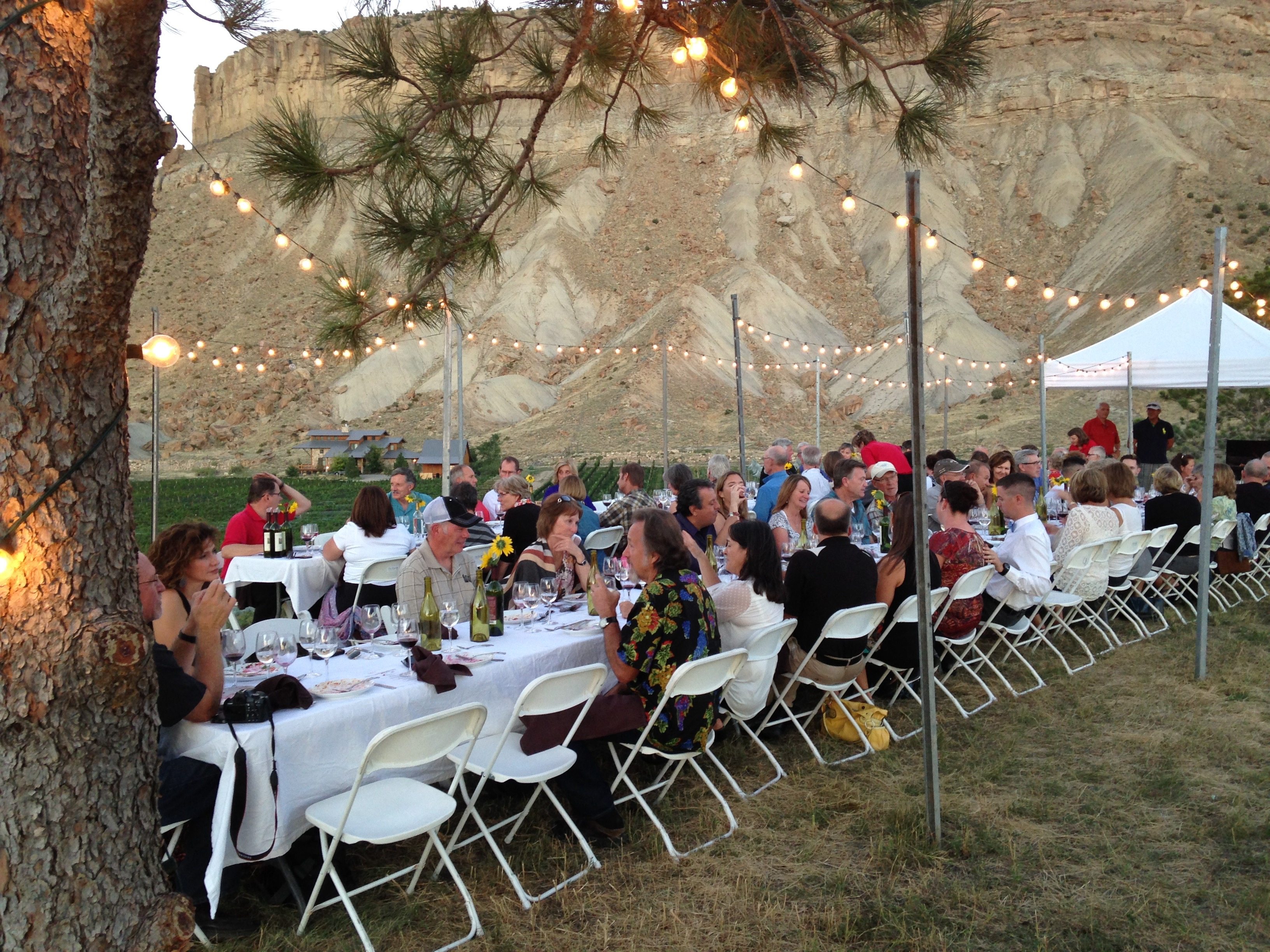 Feast in the Vineyard at BookCliff Farms in Palisade, CO Colorado Wine
