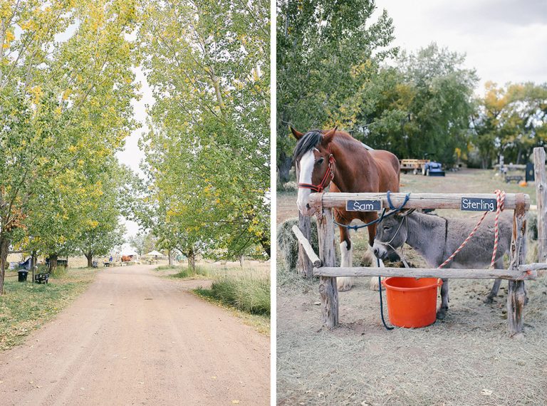 Covered Bridge Ranch Colorado Color By K