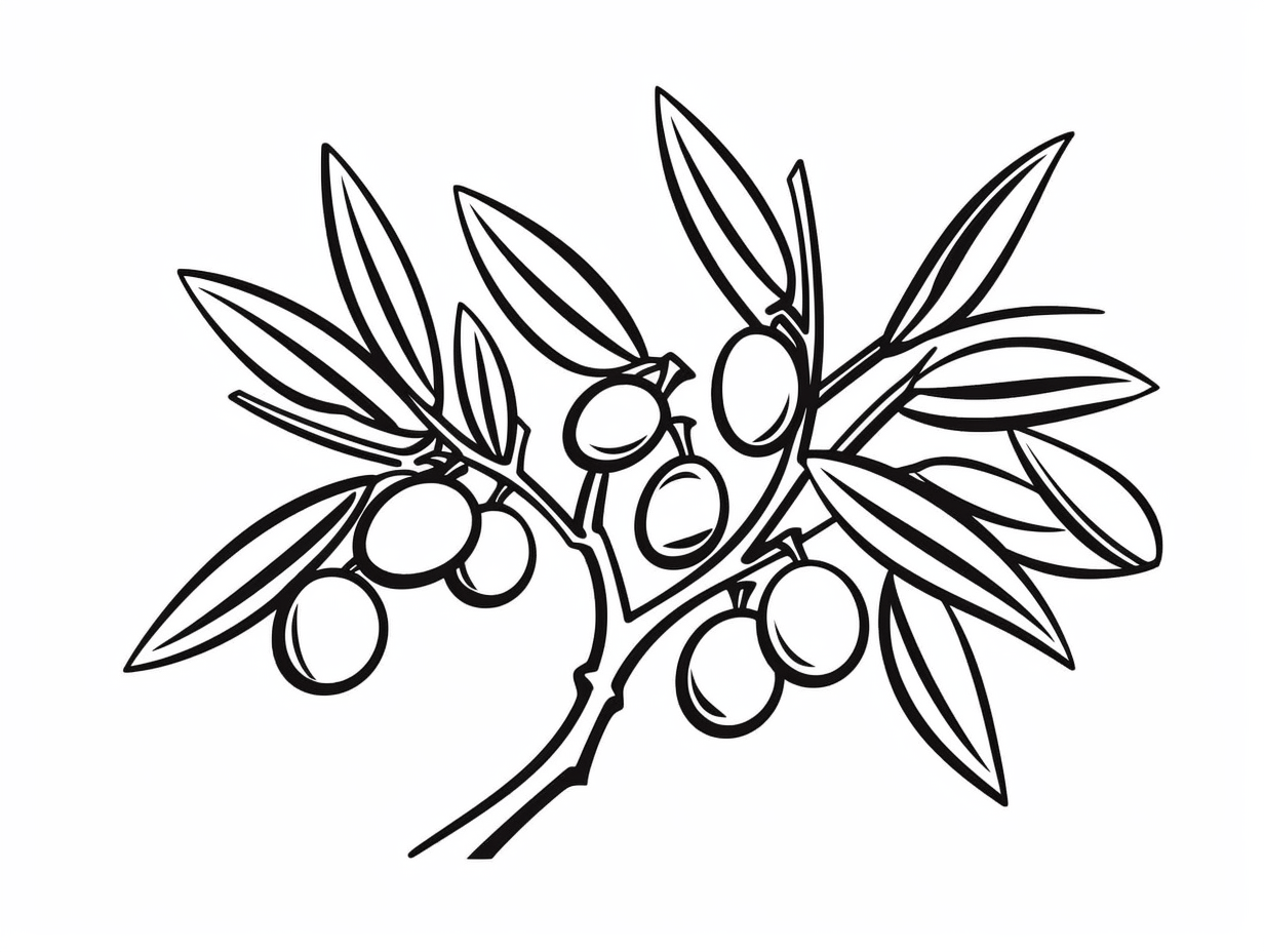 Olive Branch Coloring Fun Coloring Page