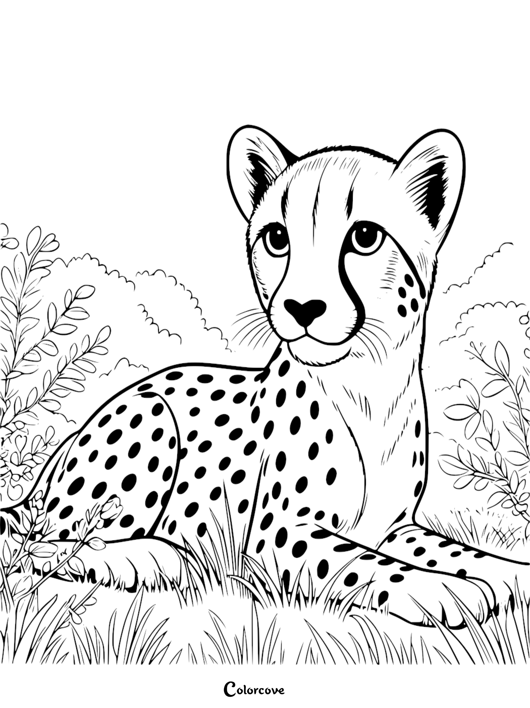 21 Free Cheetah Coloring Pages – The Color Cove