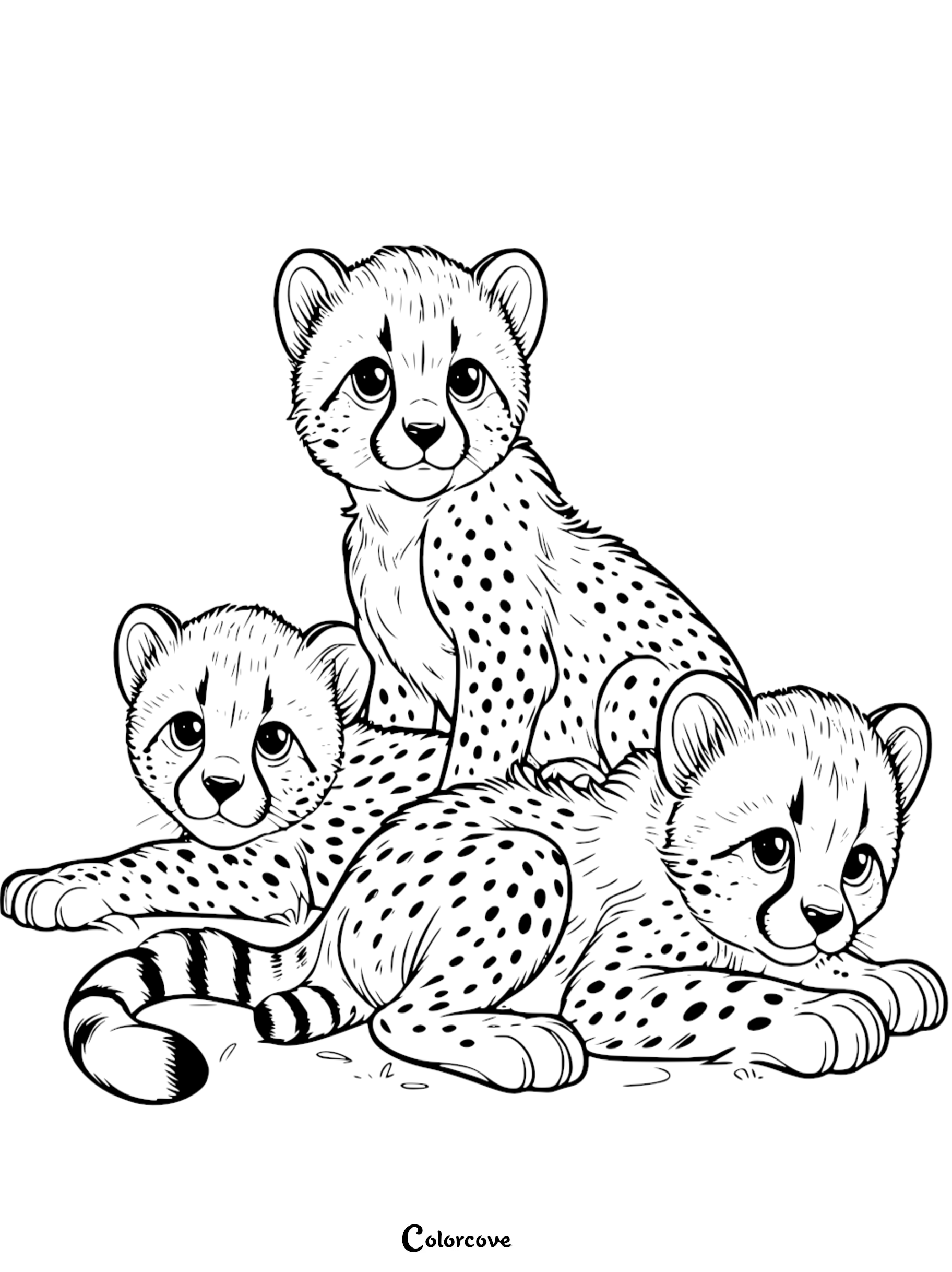 21 Free Cheetah Coloring Pages – The Color Cove