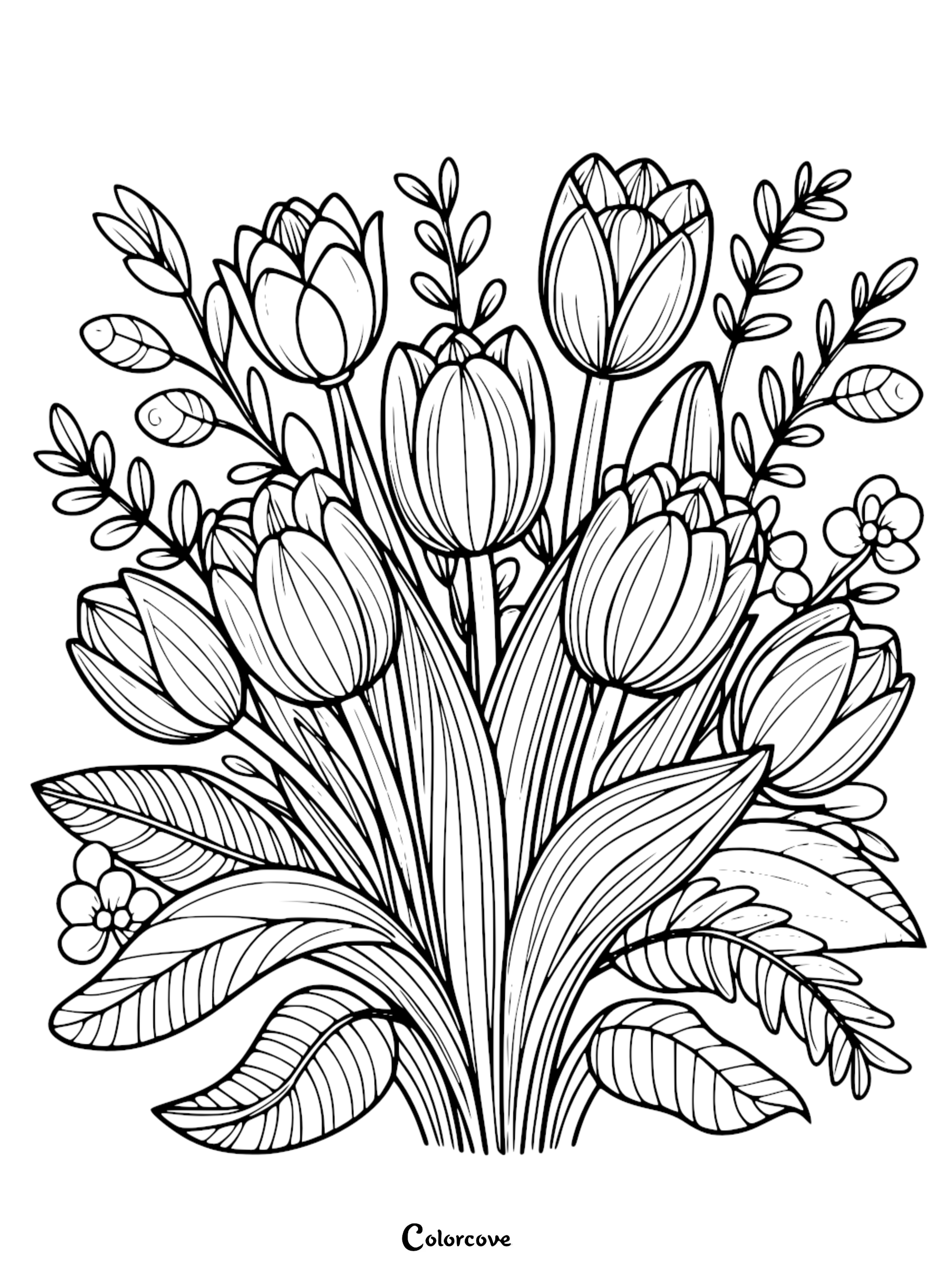 22 Free Tulip Coloring Pages The Color Cove