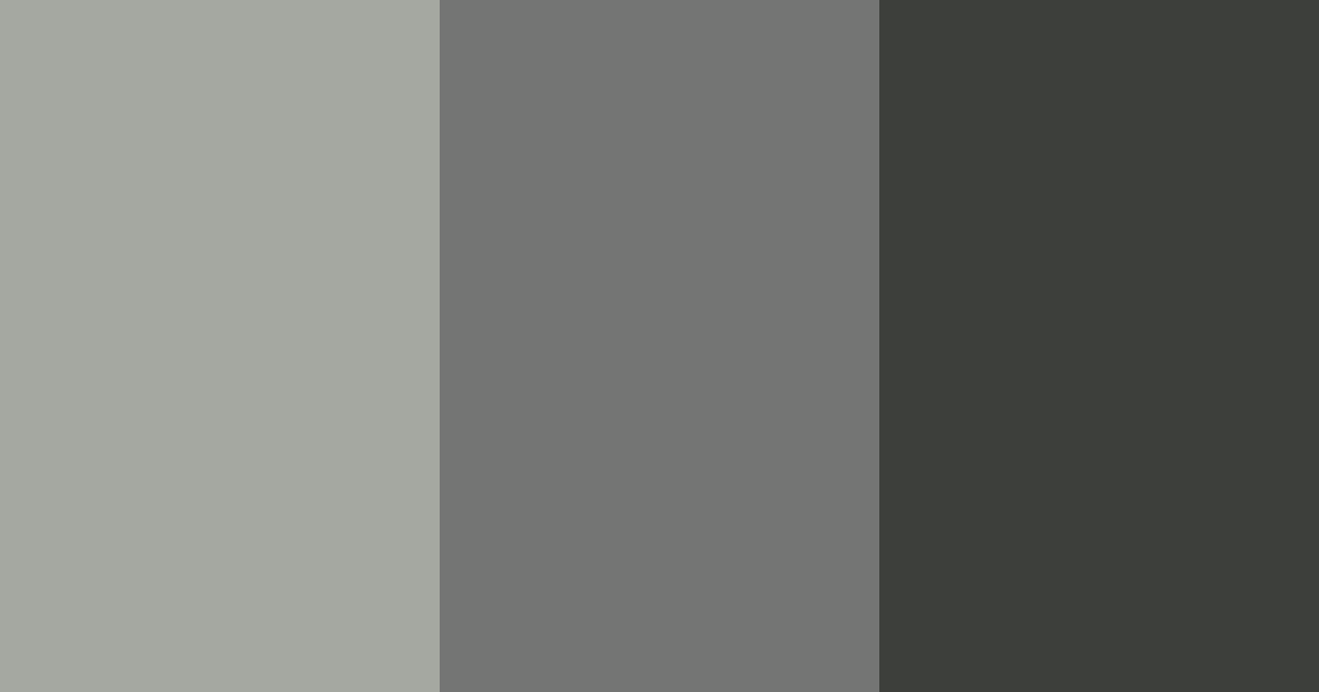 Dark Gray Color Palette ColorDrop