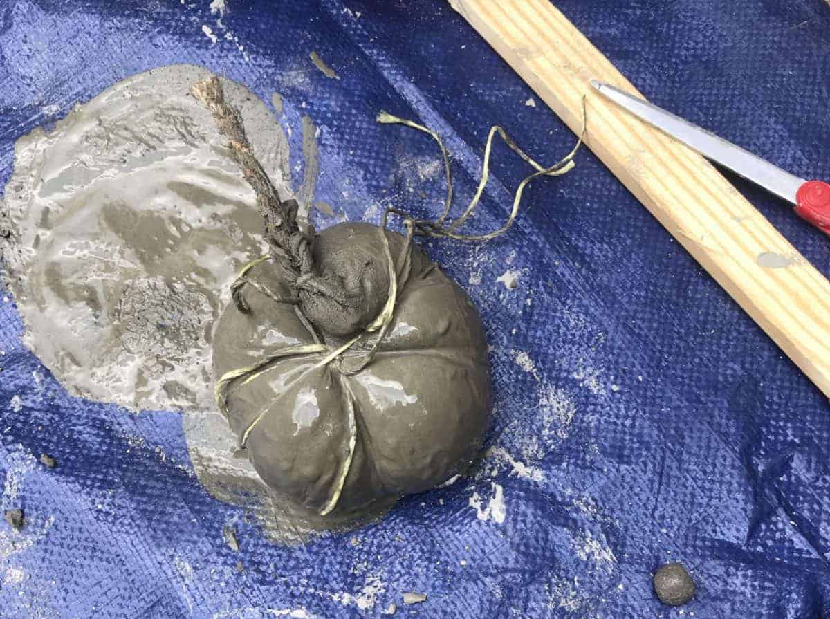 Tie the string around to give it the right form. How to make concrete pumpkins. 