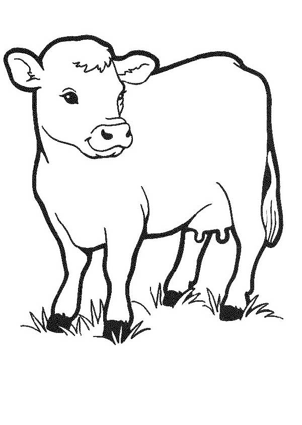 89 Desenhos de Vacas para Imprimir e Colorir com Lápis de Cor