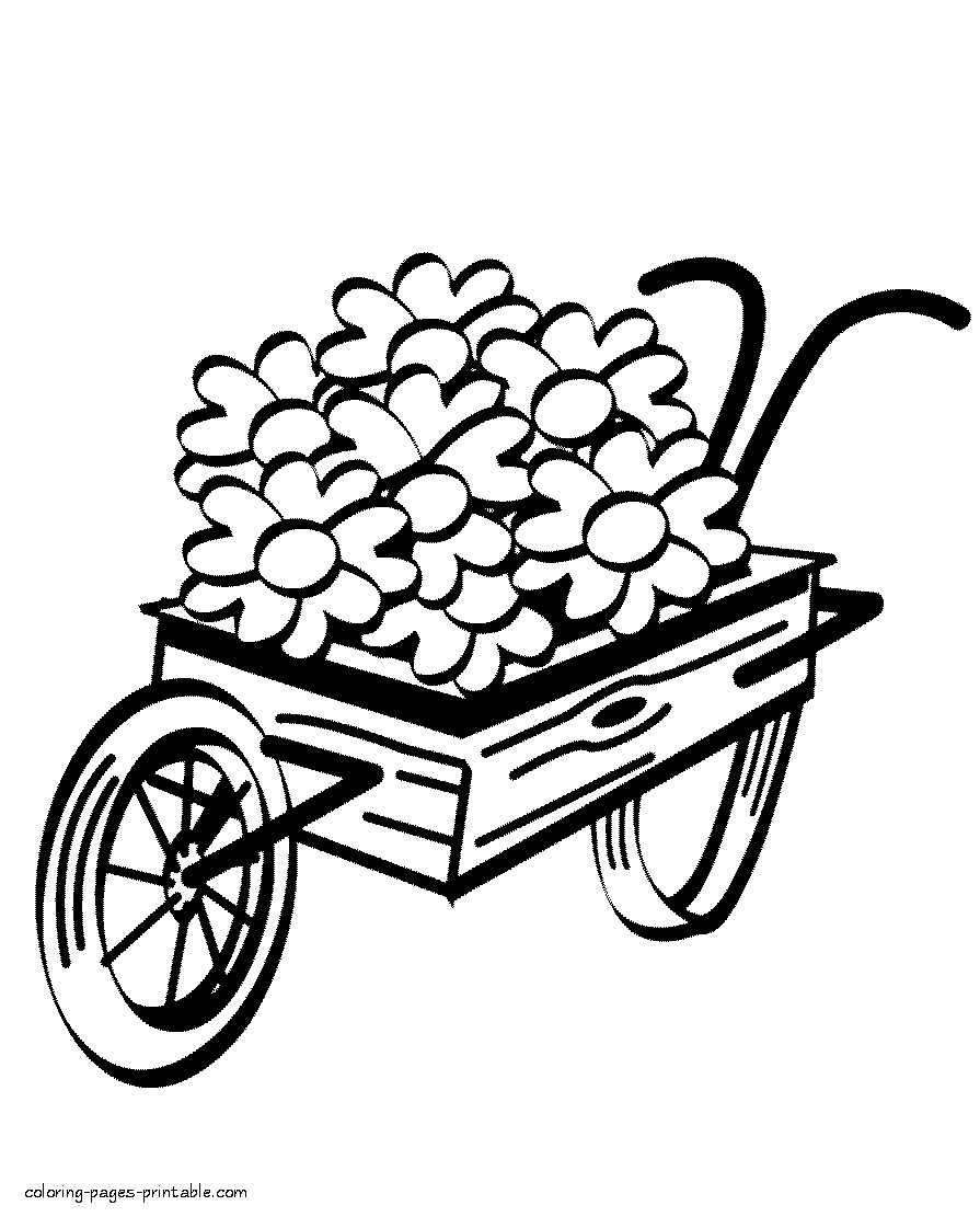Wheelbarrow and spring flowers