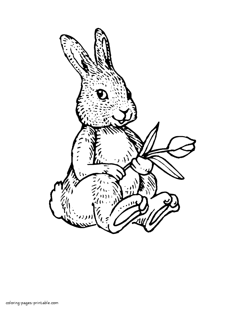 Bunny with a tulip coloring page COLORINGPAGES
