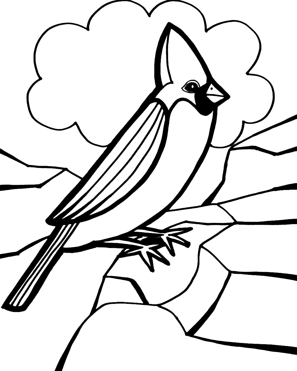 Bird Coloring Pages Printable Coloring Pages