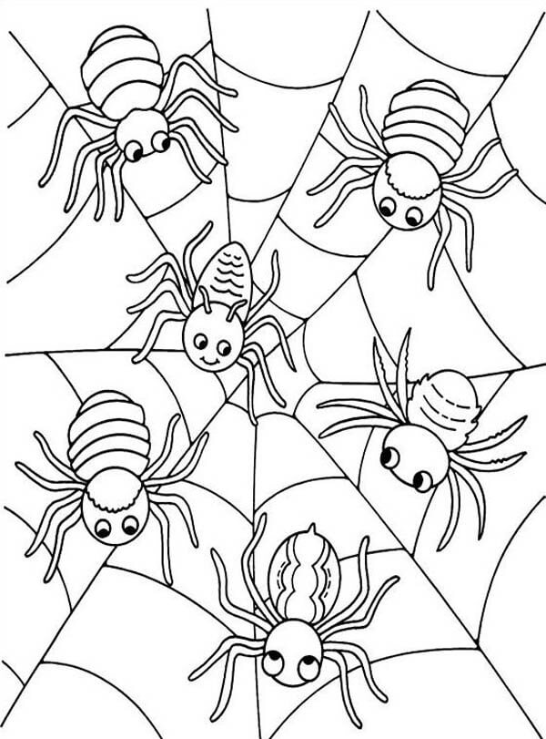 Unbelievable Printable Spider Coloring Pages Beautiful - Unlimited