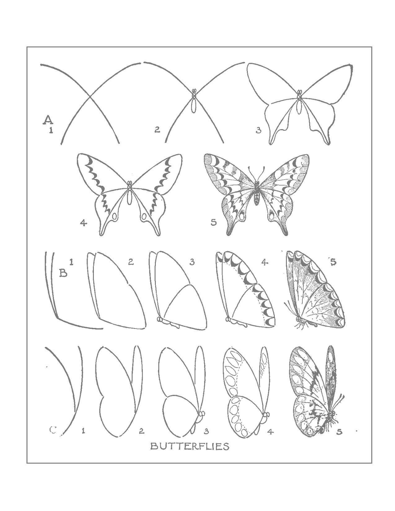 Drawing Butterflies Traceable Sheet Printable Coloring Pages
