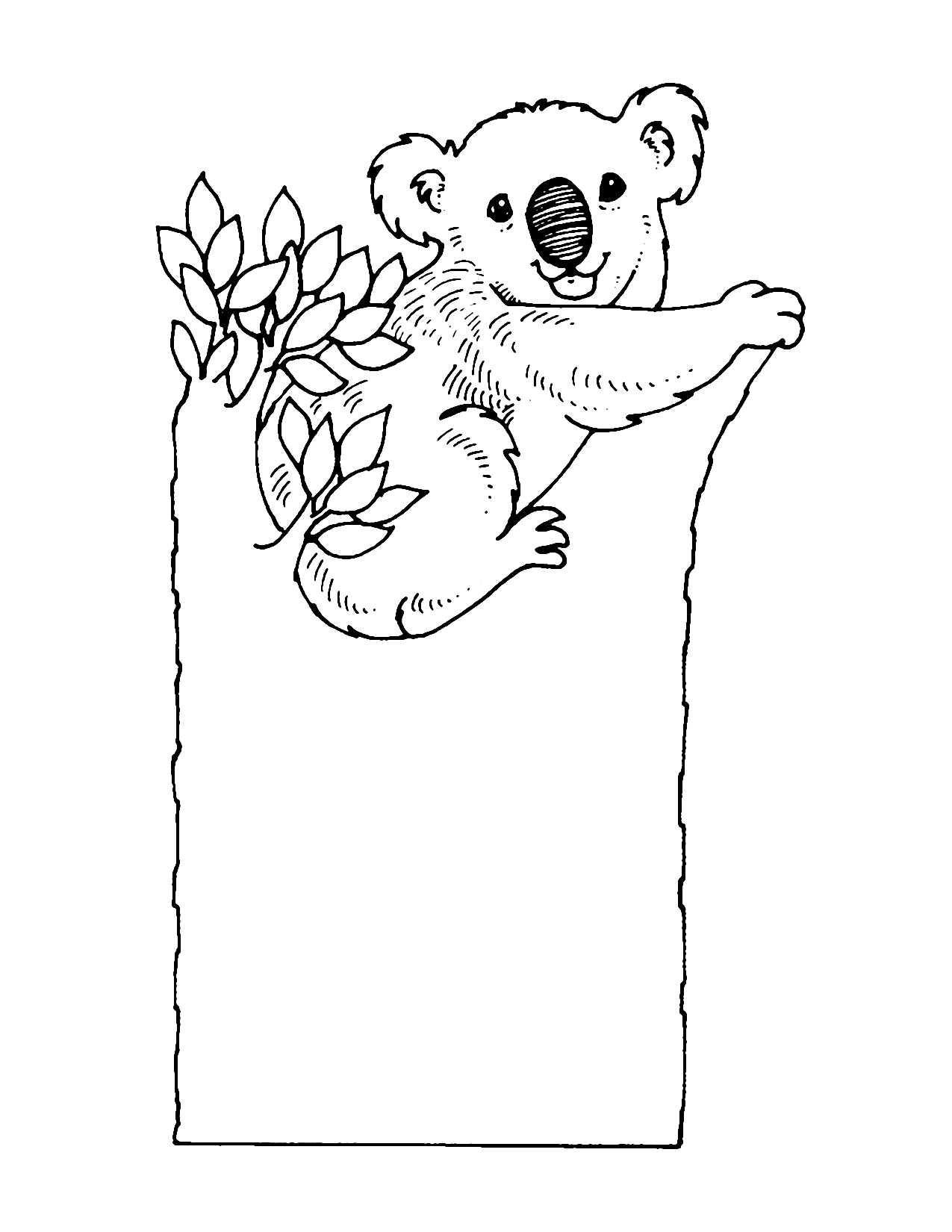 Koala Bear Coloring Pages – Printable Coloring Pages. FREE