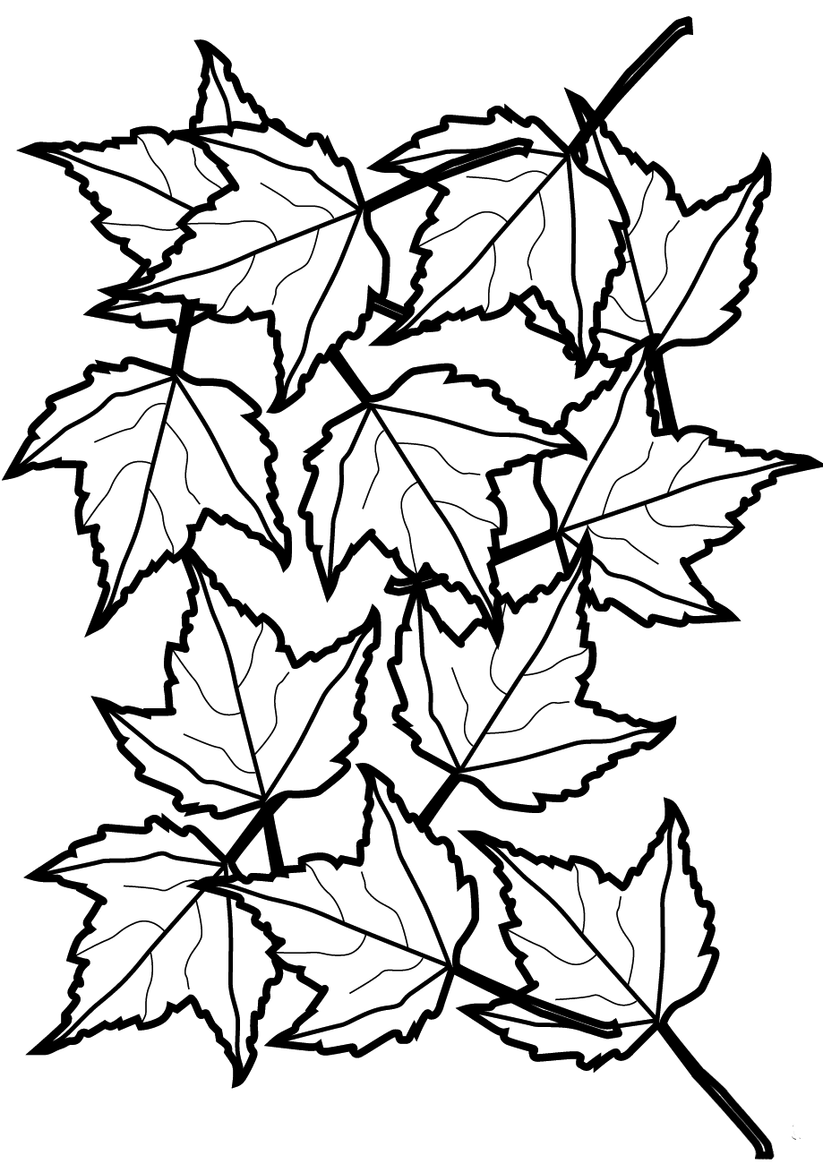 Leaf Coloring Pages Printable Coloring Pages. FREE