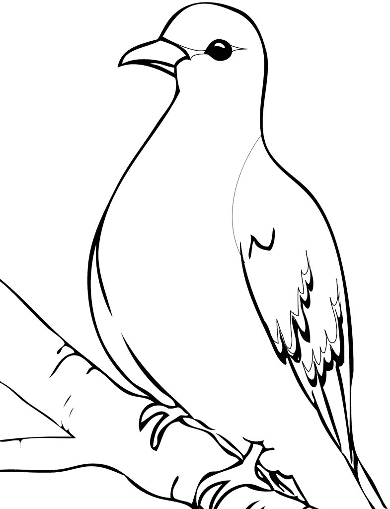 Dove Coloring Pages – Printable Coloring Pages. FREE