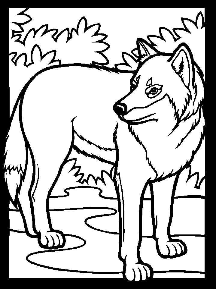 Wolf Coloring Pages Printable Coloring Pages