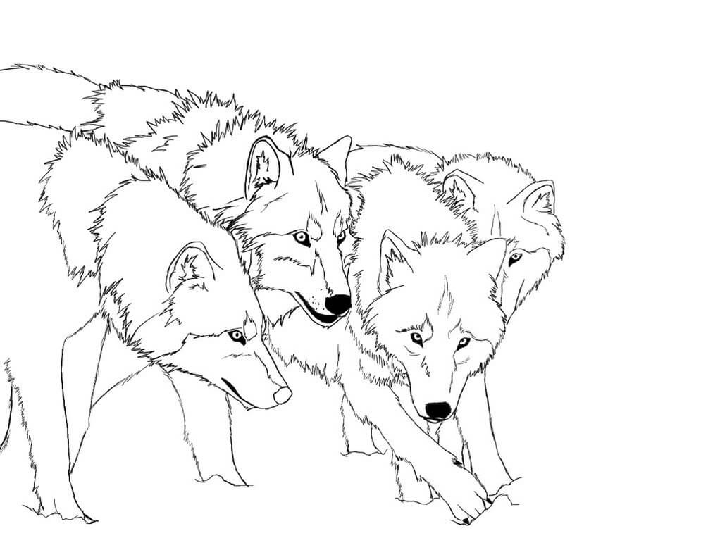 Wolf Coloring Pages – Printable Coloring Pages. FREE