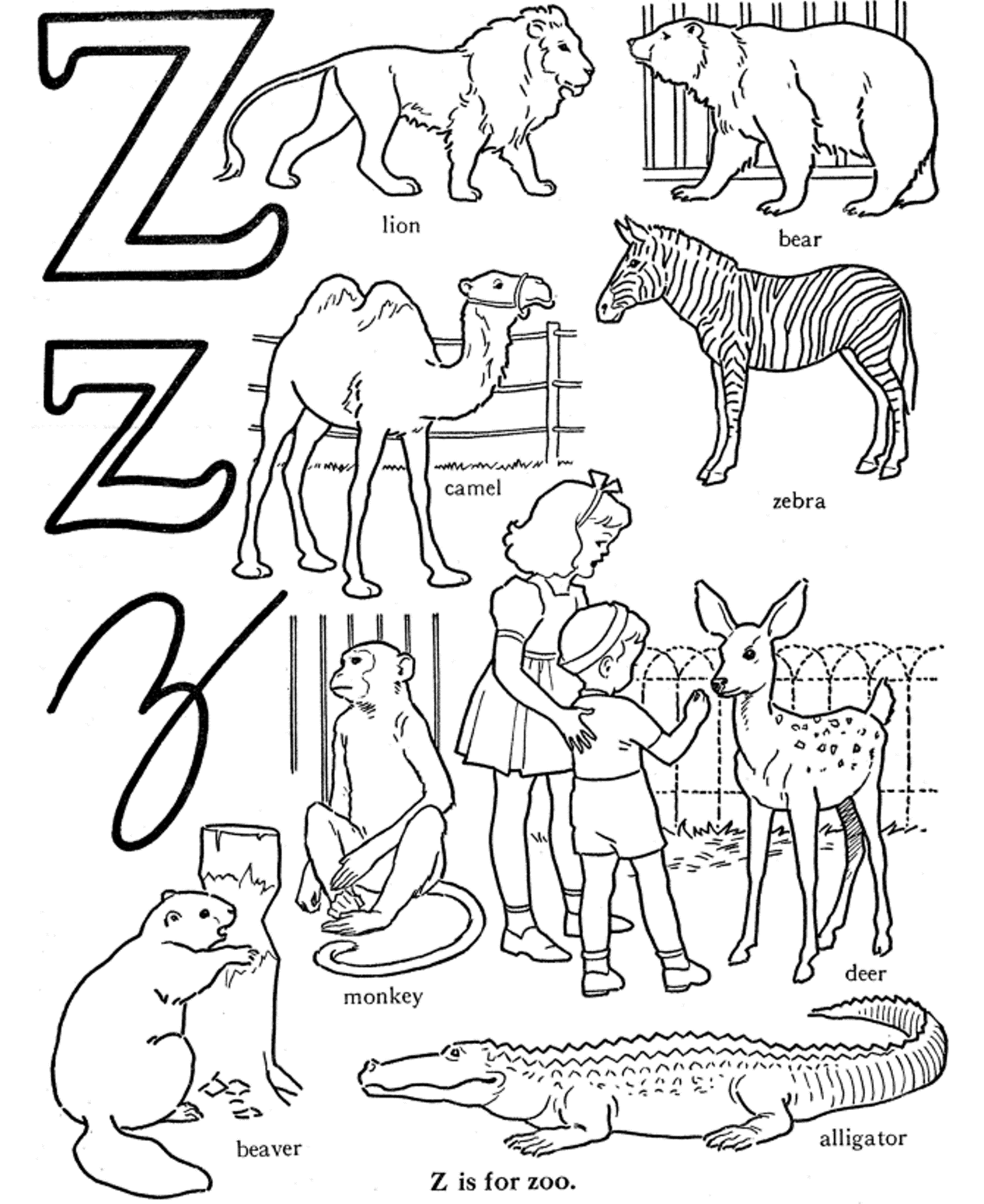 Zoo Coloring Pages Printable Coloring Pages