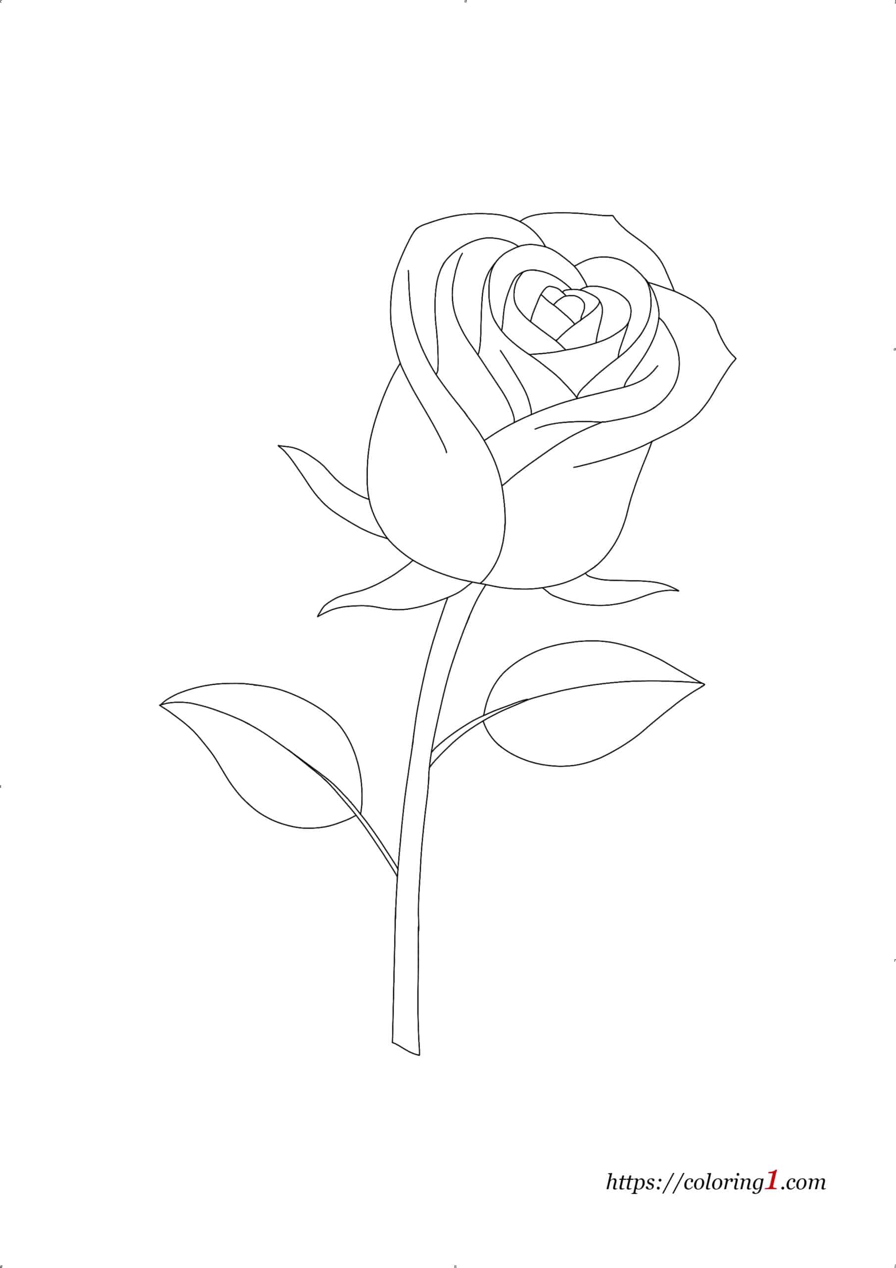 Rose Flower Coloring Pages 2 Free Coloring Sheets (2021)