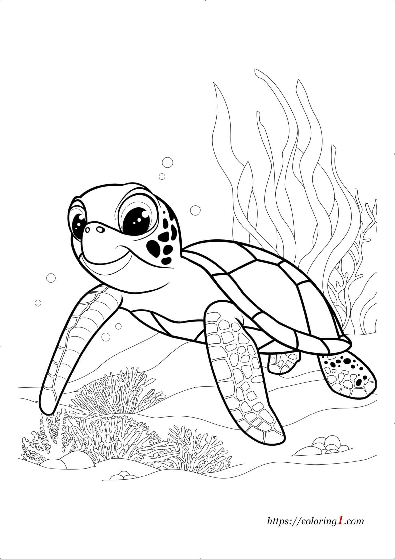 Turtle Coloring Pages 25 Free Printable Coloring Sheets 2024