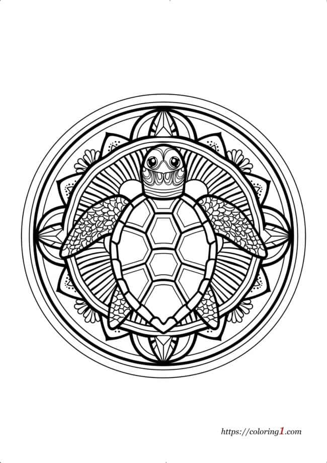 Turtle Mandala Coloring Page Free Coloring Sheet (2024)