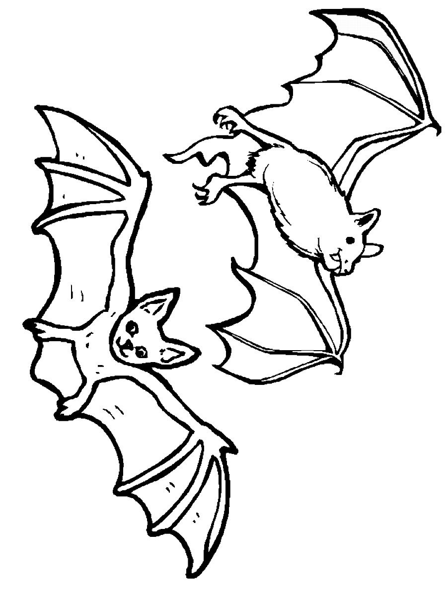 Coloring Pages Bat Conservation International
