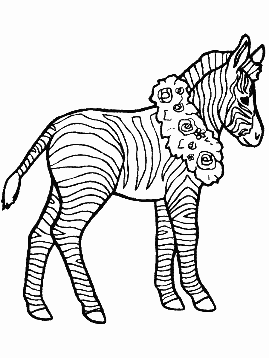 Zebra Coloring Pages