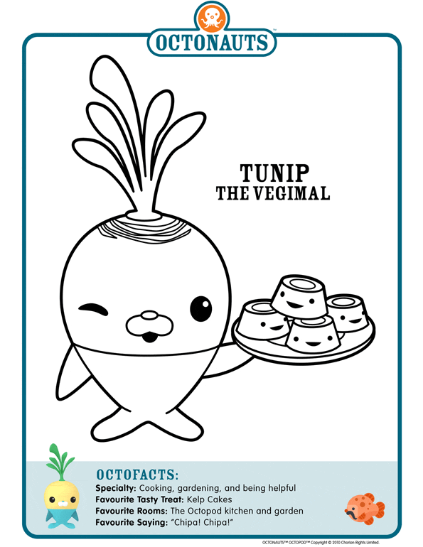 The Octonauts Coloring Pages