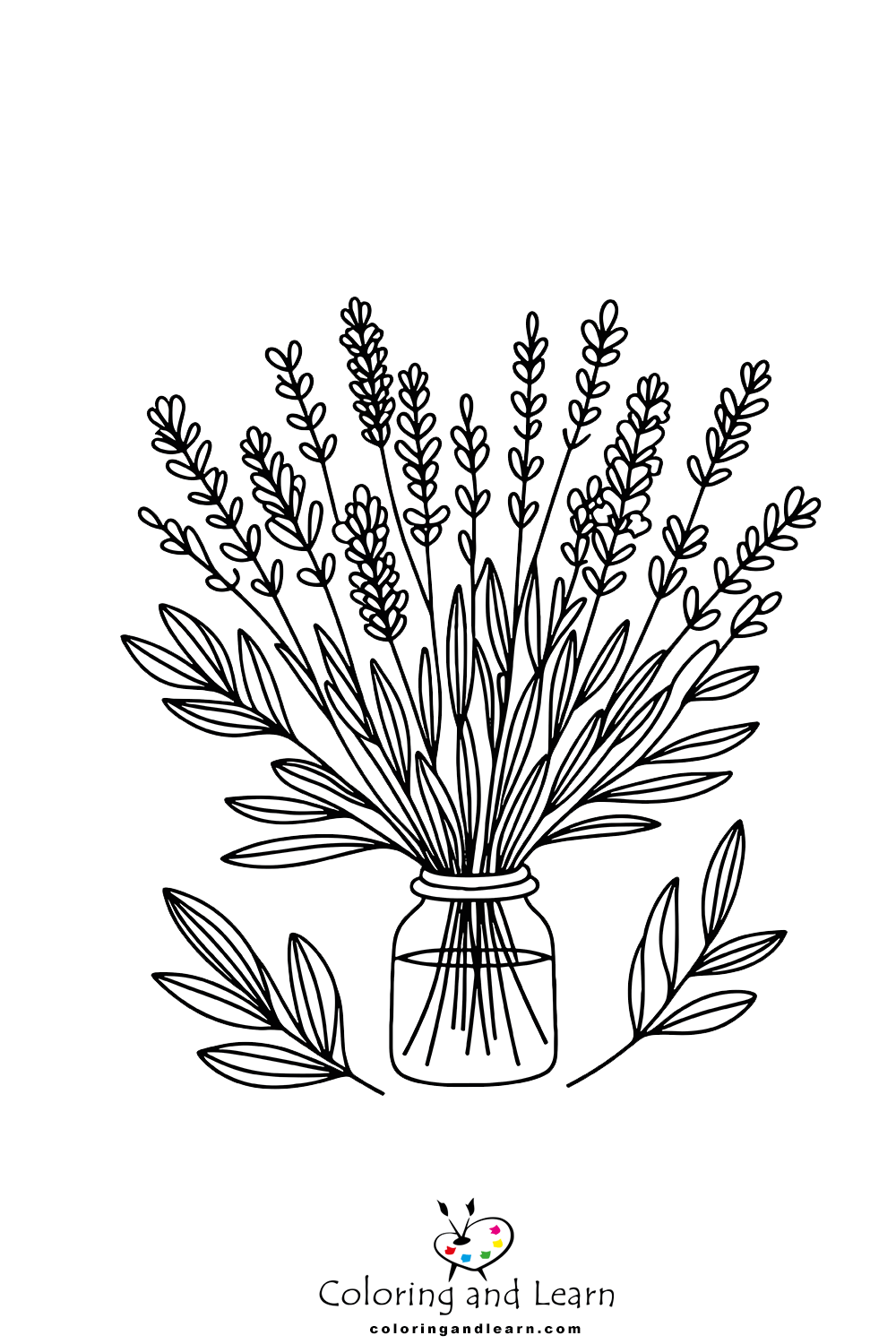 Lavender Coloring Pages (FREE) (2025) Coloring and Learn