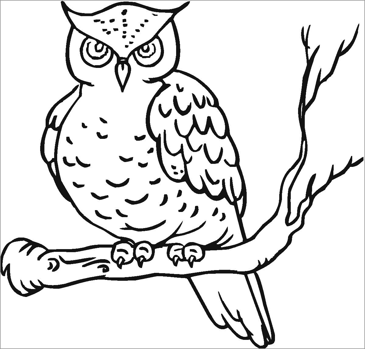 Burrowing Owl Coloring Page - Coloringbay 1146_x_1200_jpg