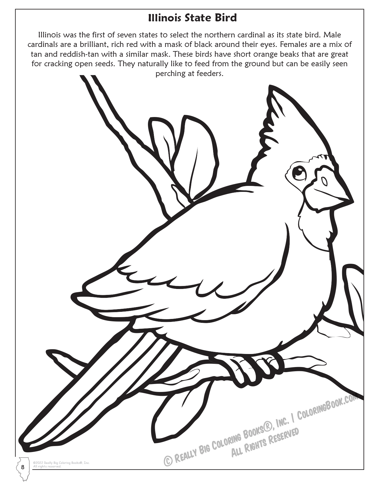 Illinois State Symbols Coloring Pages