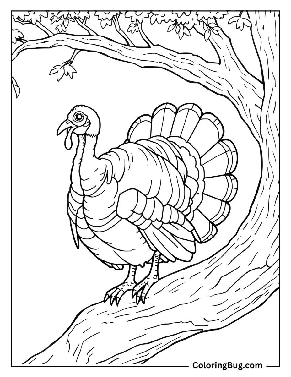 50 Turkey Coloring Pages (Free Printable PDFs)