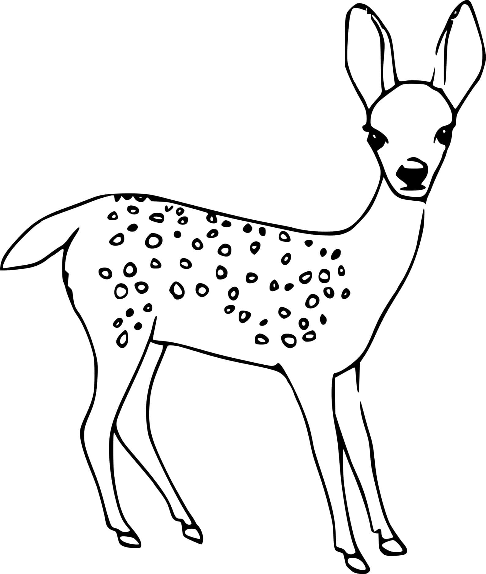 Realistic Baby Deer Coloring Pages Coloring Cool