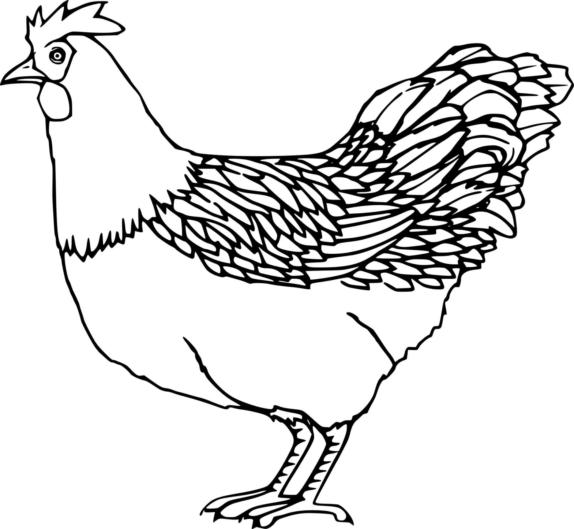 Easy Funny Chicken Coloring Pages Coloring Cool