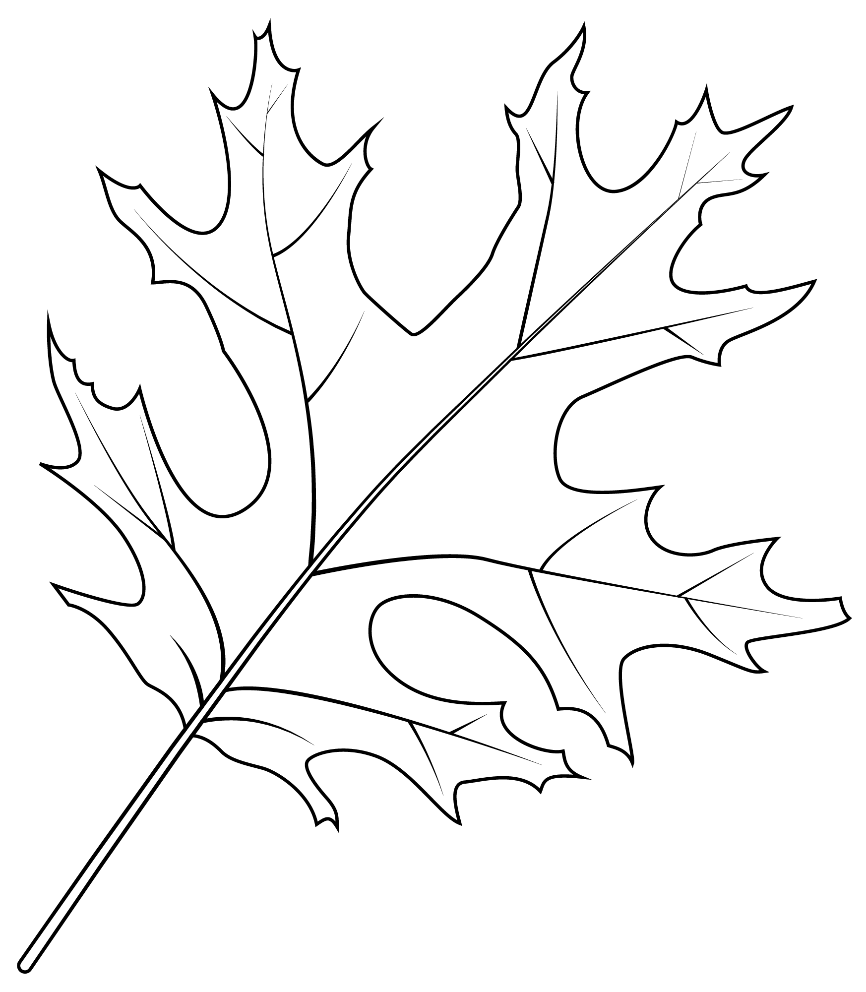 Scarlet Oak Leaf Coloring Pages Coloring Cool