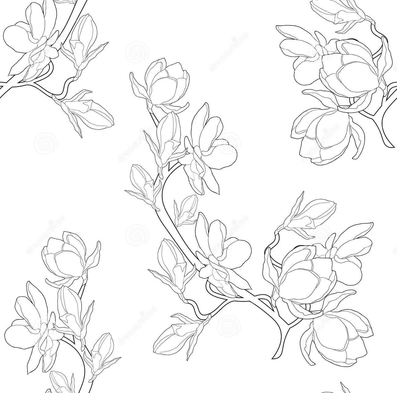Coloring Magnolia Flower Coloring Pages Coloring Cool