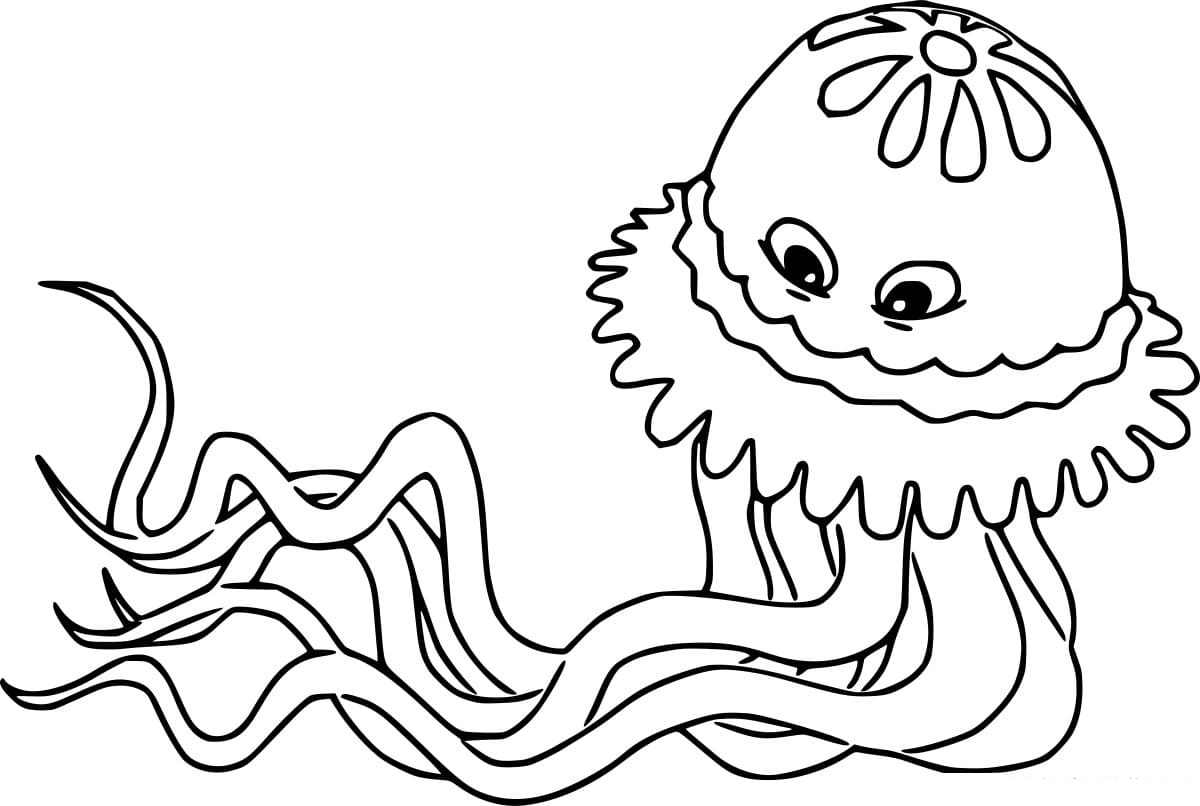 Cartoon Compass Jellyfish Coloring Pages Coloring Cool
