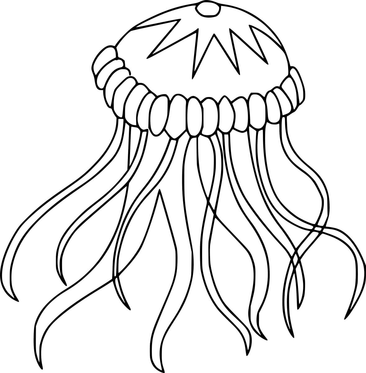 Compass Jellyfish Image Coloring Pages Coloring Cool