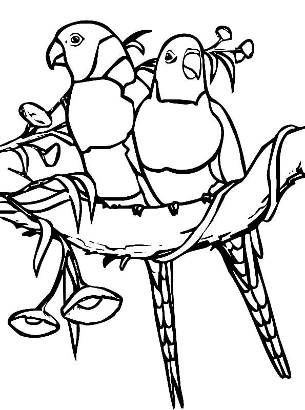 Parrot Mandalas Free Printable Coloring Pages Coloring Cool