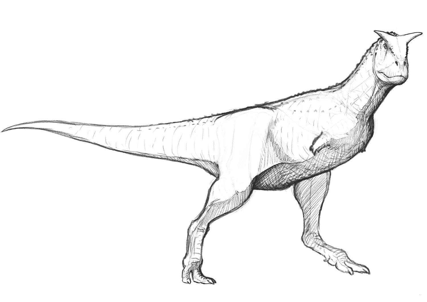 Free Printable Carnotaurus Coloring Pages Pdf
