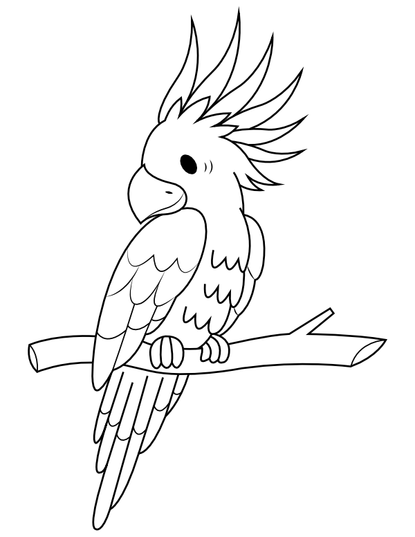 Cockatoo Coloring Pages