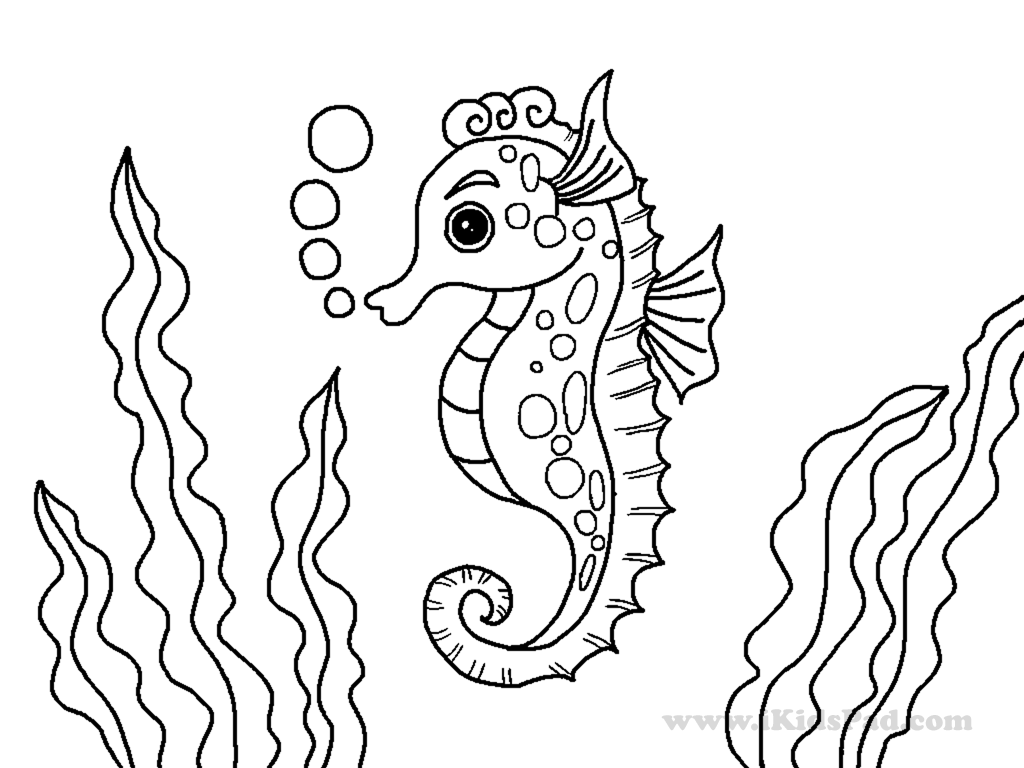 Ocean Animals Coloring Pages Coloring Home