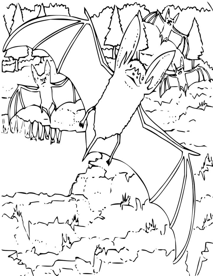 41+ Coloring Page Bat